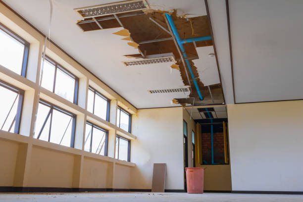 Best Sewage cleanup and water damage restoration  in American Fork, UT