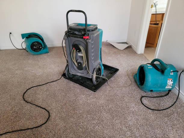 Water damage restoration experts in American Fork, UT