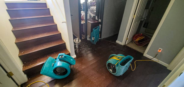 Best Emergency water damage restoration  in American Fork, UT