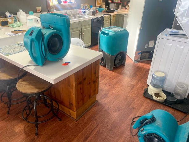 Best Water damage restoration near me  in American Fork, UT