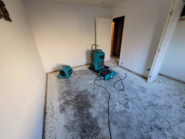 American Fork, UT Water damage restoration Company