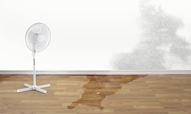 Best Flooded house restoration  in American Fork, UT