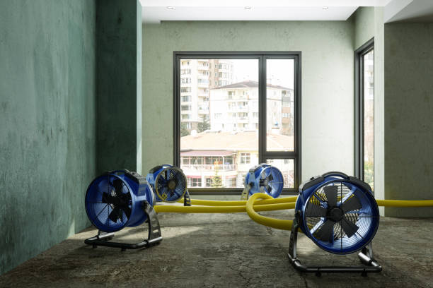 Best Carpet water damage restoration  in American Fork, UT