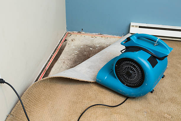 Best Water damage restoration near me  in American Fork, UT